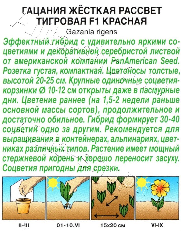 Гацания Рассвет F1 тигровая красная 5шт