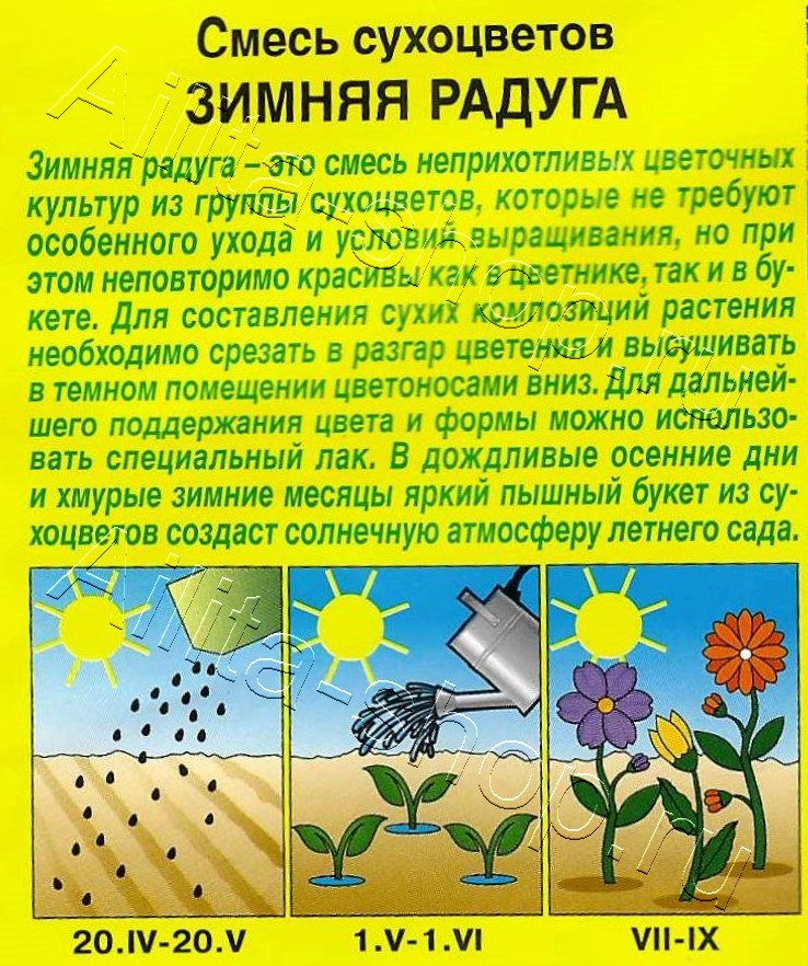 Смесь сухоцветов Зимняя радуга 1г