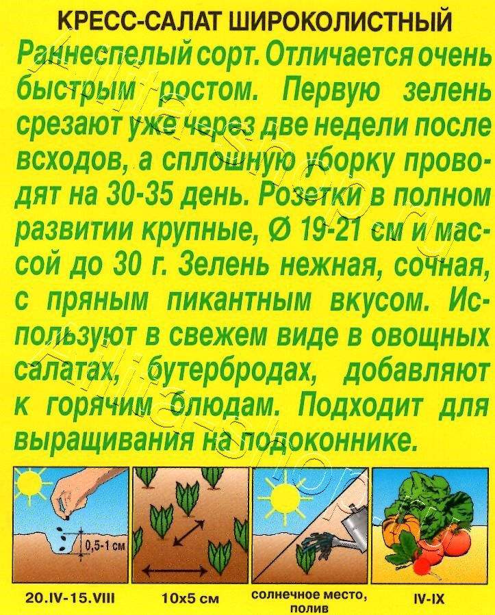 Кресс-салат Широколистный 1г