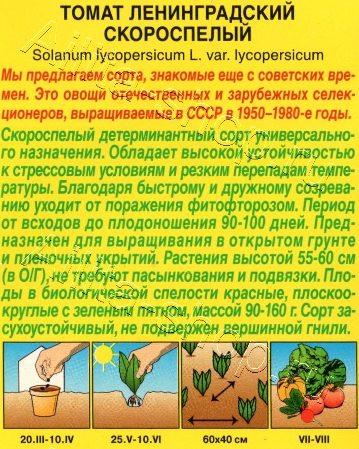 Томат Ленинградский скороспелый 15шт