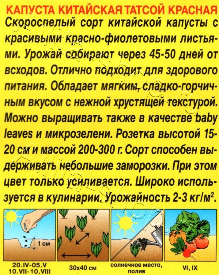 Капуста китайская Татсой красная 0,1г
