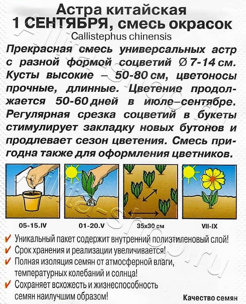 Астра 1 сентября, смесь окрасок 0,2г