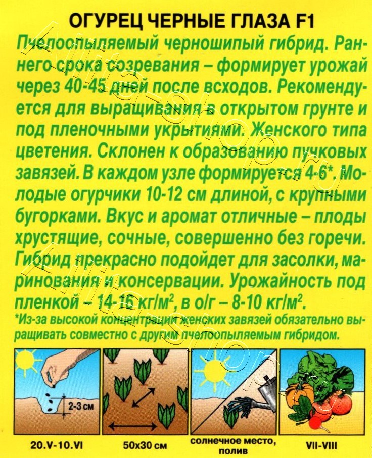 Огурец Черные глаза F1 10шт