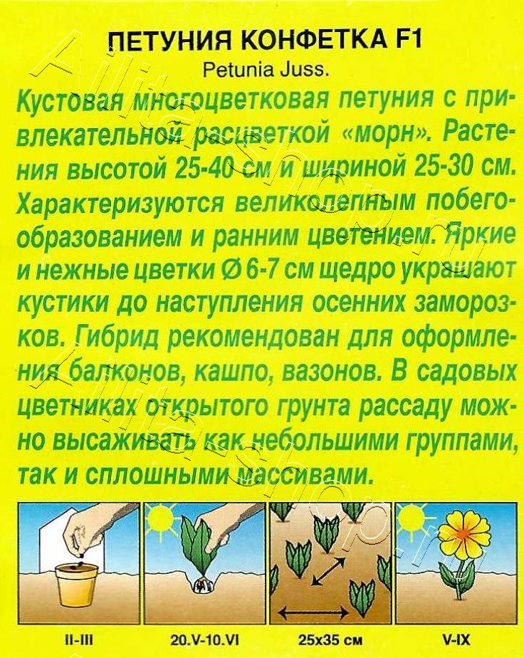 Петуния Конфетка F1 многоцветковая 7шт