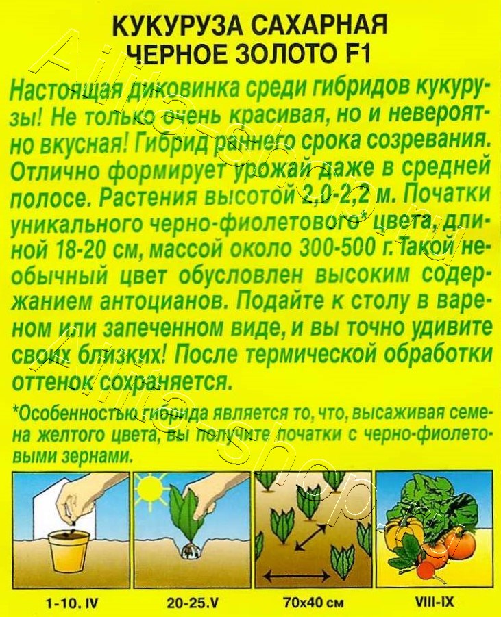 Кукуруза сахарная Черное золото 5шт