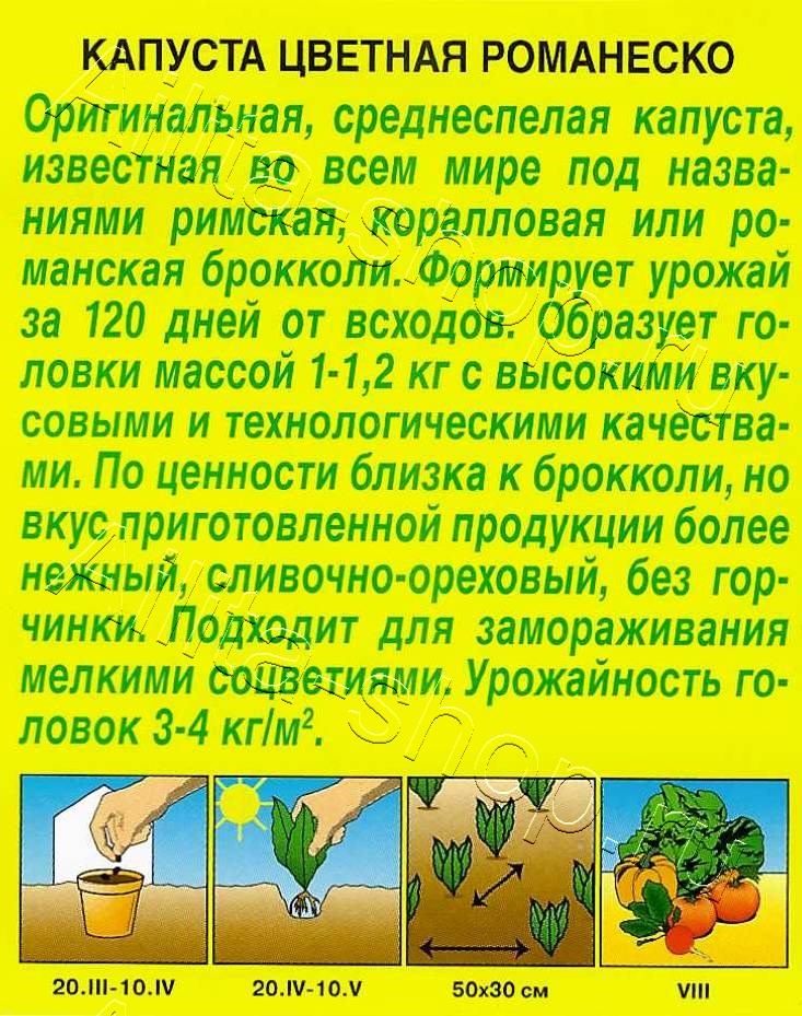 Капуста цветная Романеско 0,3г