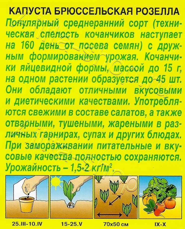 Капуста брюссельская Розелла 0,3г