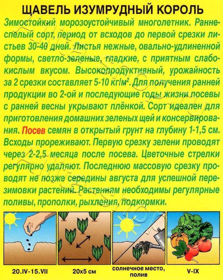 Щавель Изумрудный король 0,5г