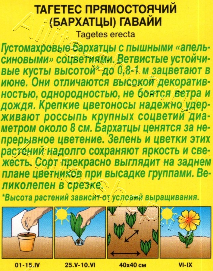 Бархатцы Гавайи прямостоячие 0,3г