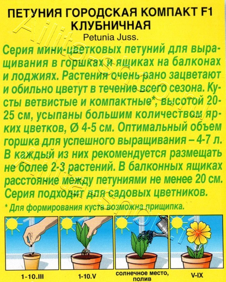 Петуния Городская компакт F1 клубничная 7шт