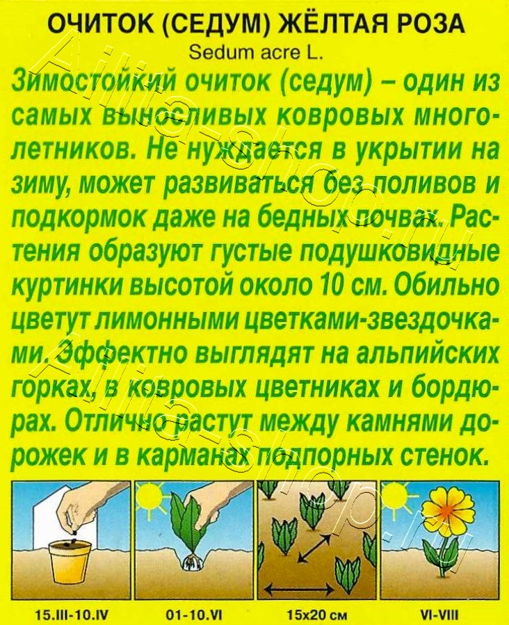 Седум Желтая роза 0,01г