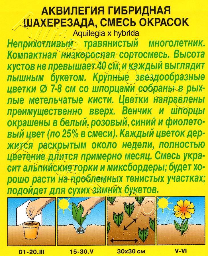 Аквилегия Шахерезада, смесь окрасок 0,1г