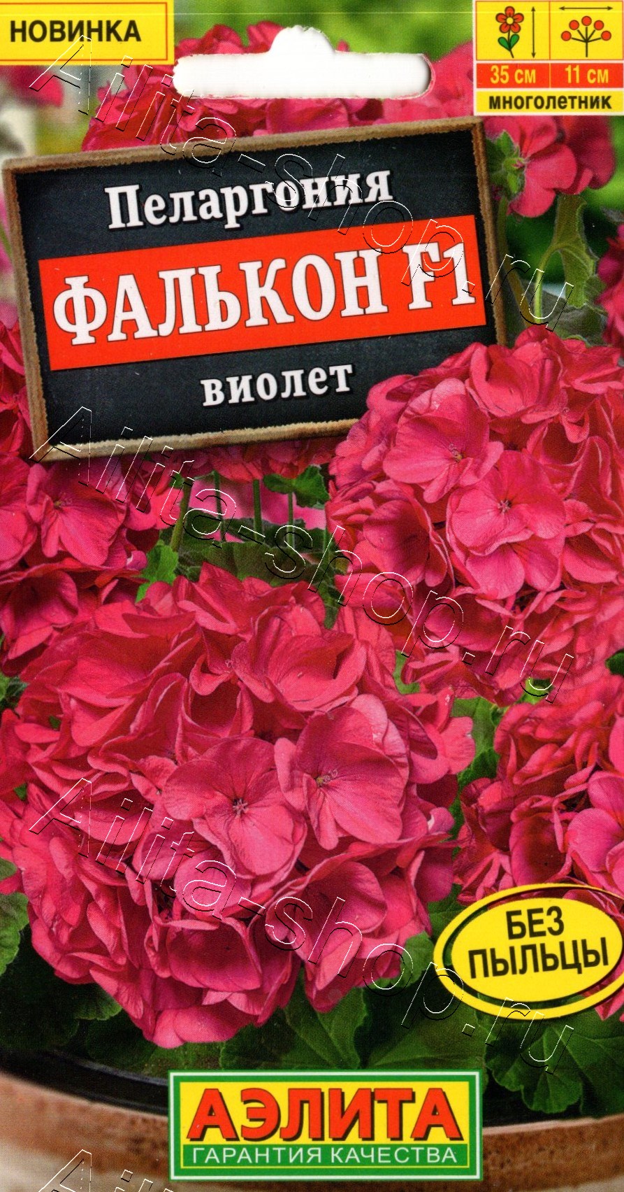 Пеларгония садовая Фалькон F1 виолет 4шт