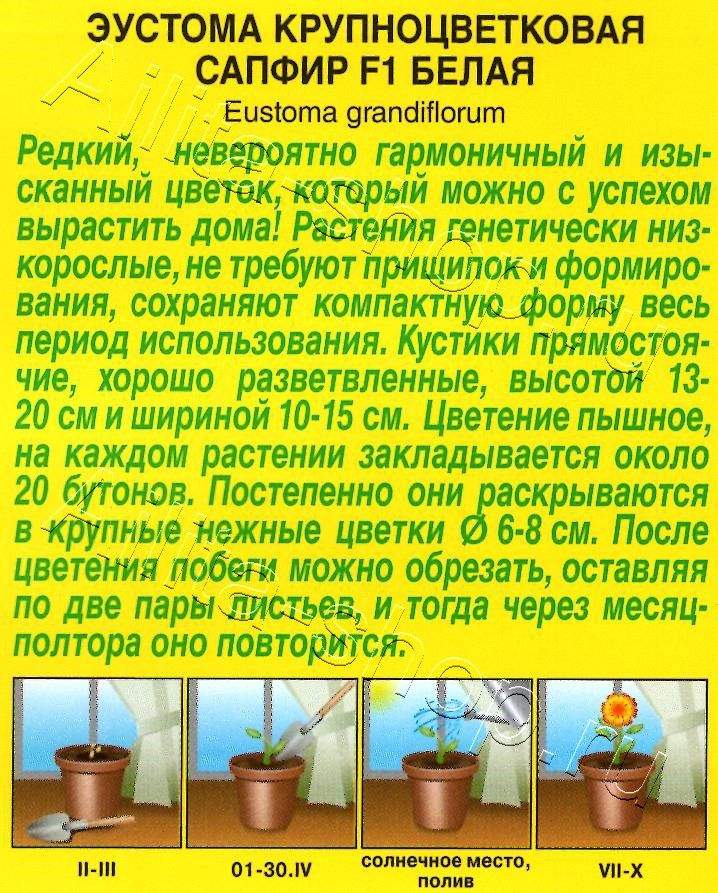 Эустома Сапфир F1 белая крупноцветковая 5шт