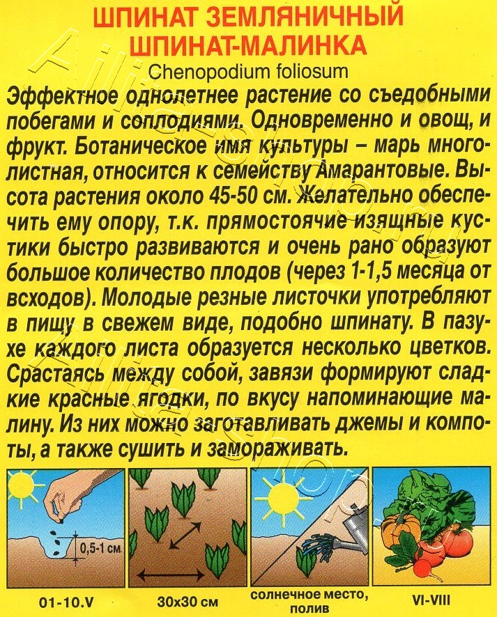 Шпинат земляничный Шпинат-малинка 0,05г