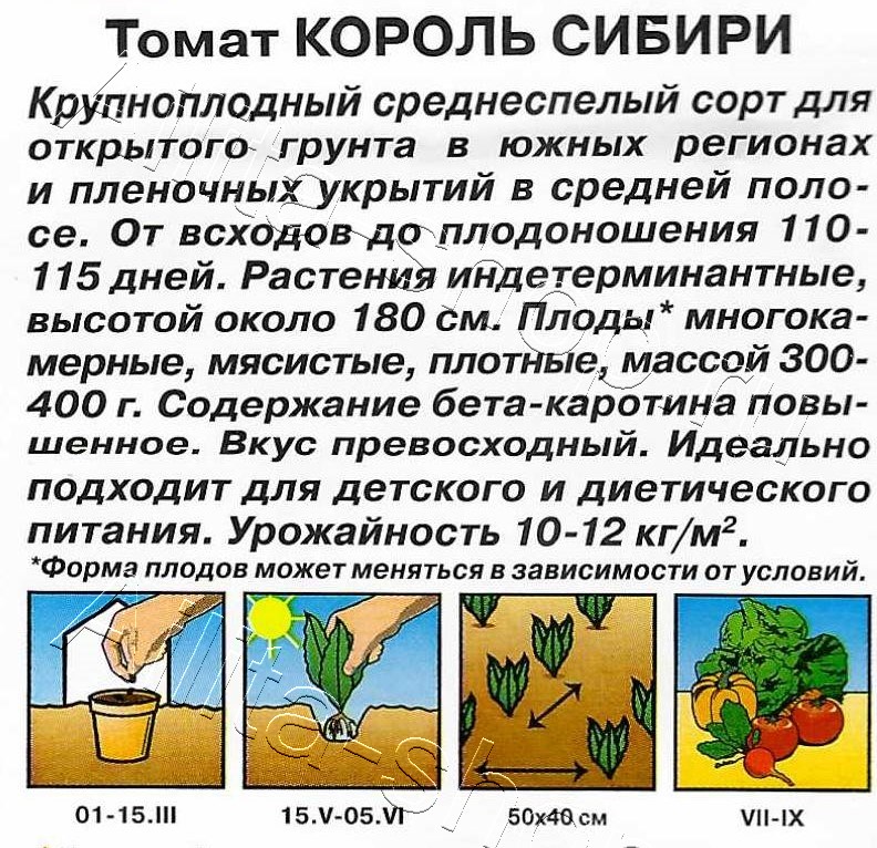 Томат Король Сибири 20шт