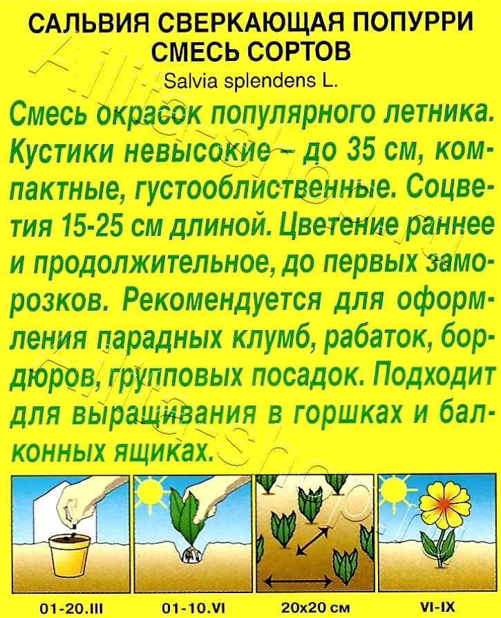 Сальвия Попурри, смесь окрасок 0,1г