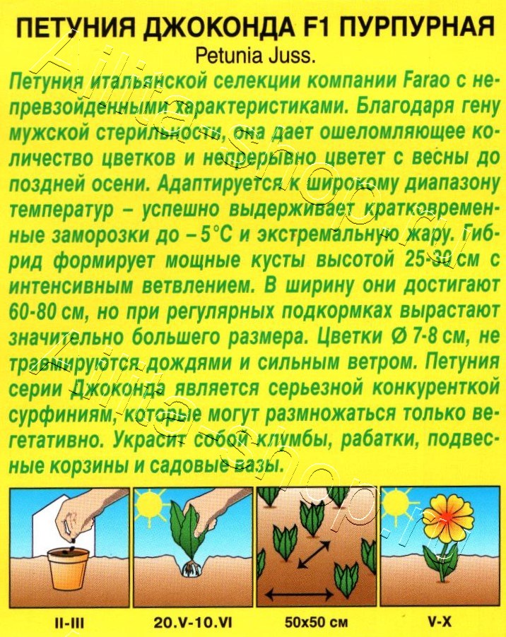 Петуния Джоконда F1 пурпурная 5шт