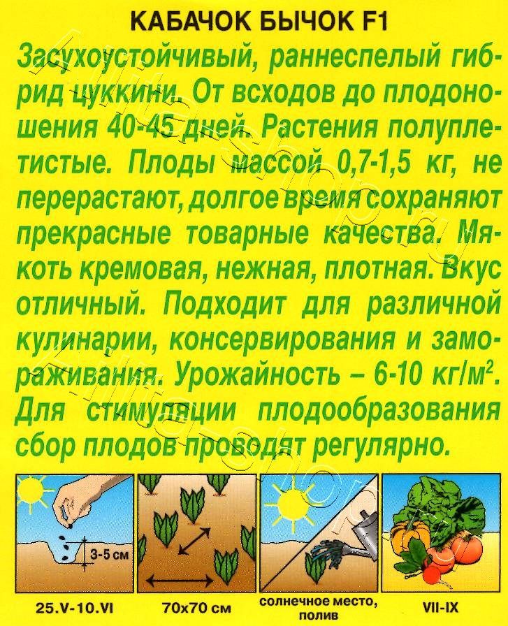 Кабачок цуккини Бычок F1 1г