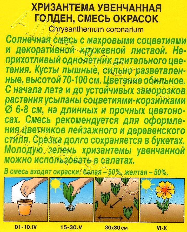 Хризантема Голден увенчанная, смесь окрасок 0,3г