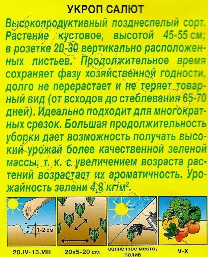 Укроп Салют 3г