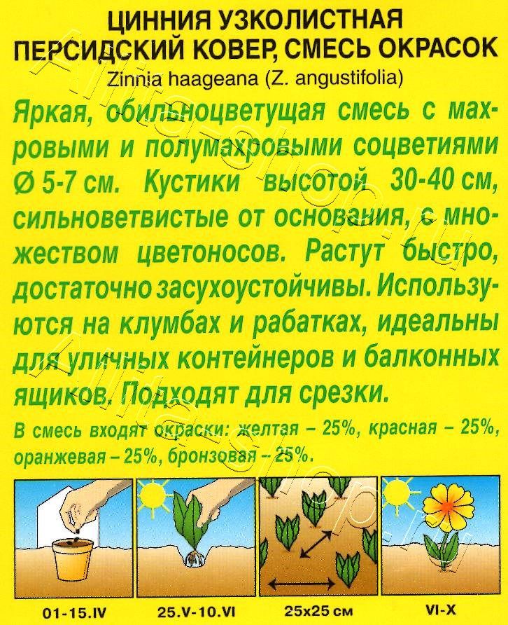 Цинния Персидский ковер, смесь окрасок 0,3г