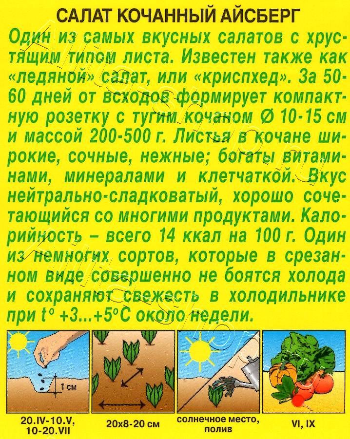 Салат Айсберг кочанный 0,5г