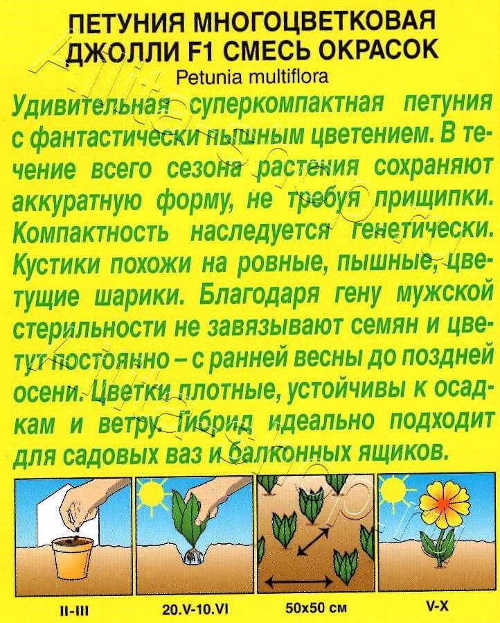 Петуния Джолли F1 многоцветковая, смесь окрасок 7шт