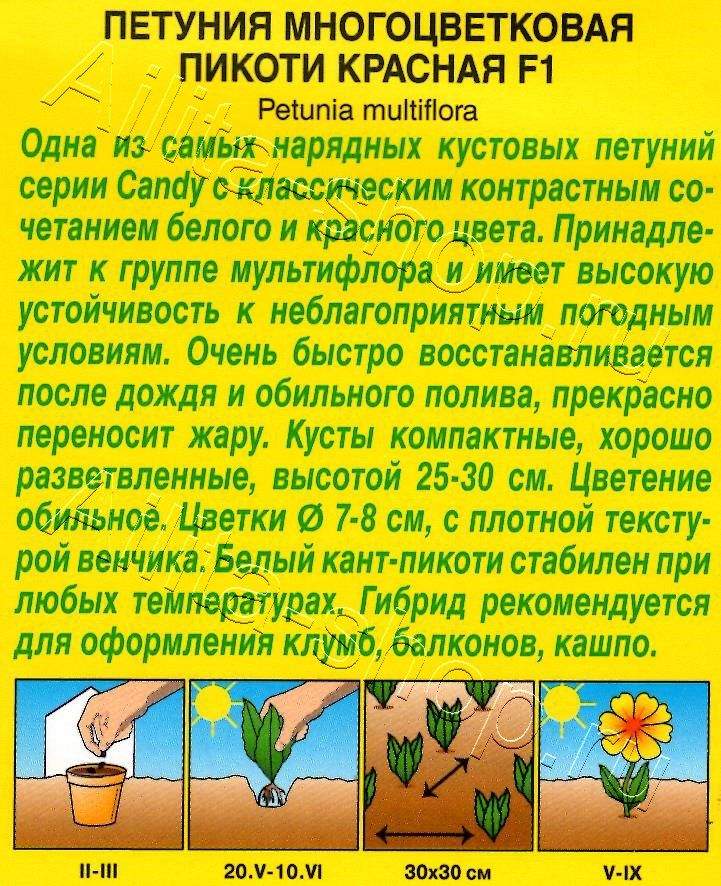 Петуния Пикоти красная F1 многоцветковая 10шт