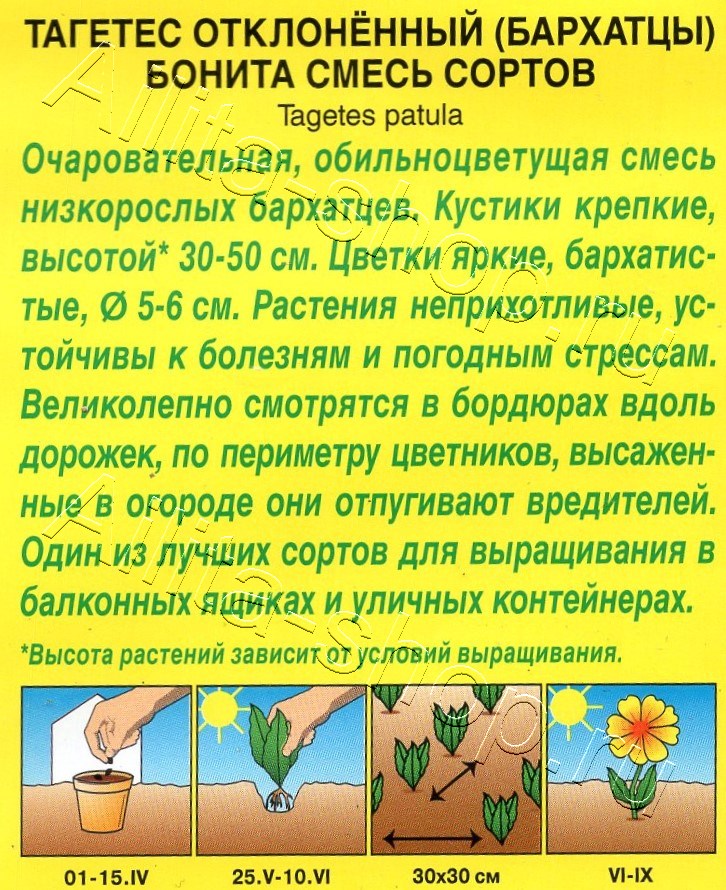 Бархатцы Бонита отклоненные, смесь сортов 0,3г