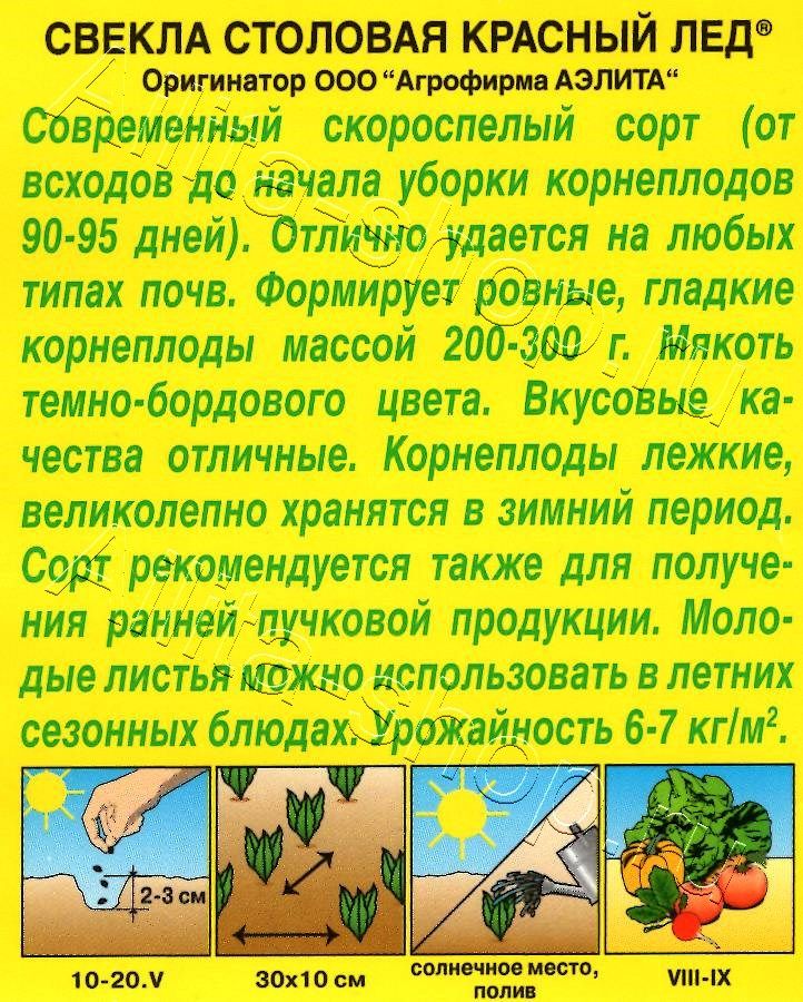 Свекла столовая Красный лед 3г