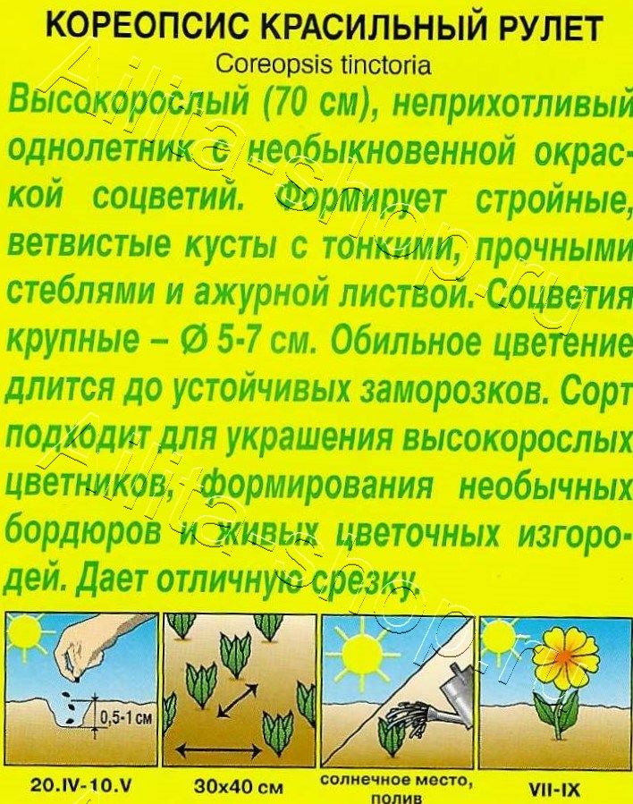 Кореопсис Рулет 0,05г