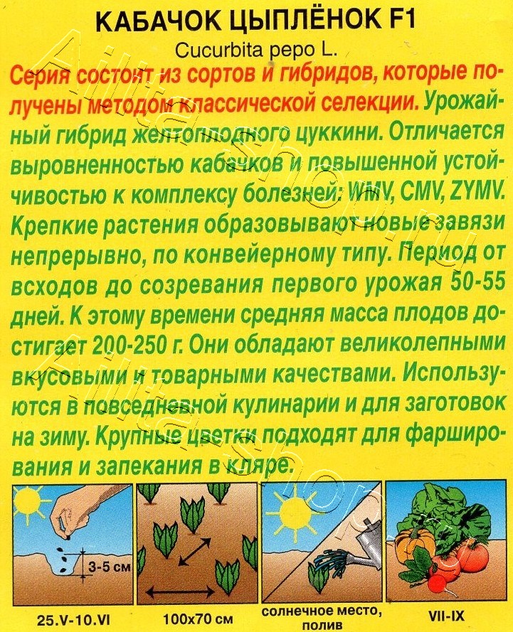 Кабачок цуккини Цыпленок F1 5шт