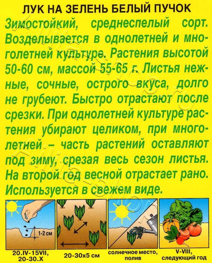 Лук на зелень Белый пучок 0,5г