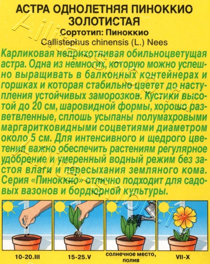 Астра Пиноккио золотистая 0,05г