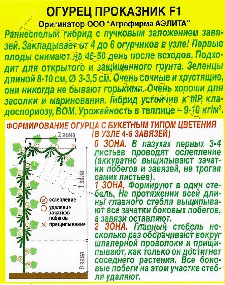 Огурец Проказник F1 10шт