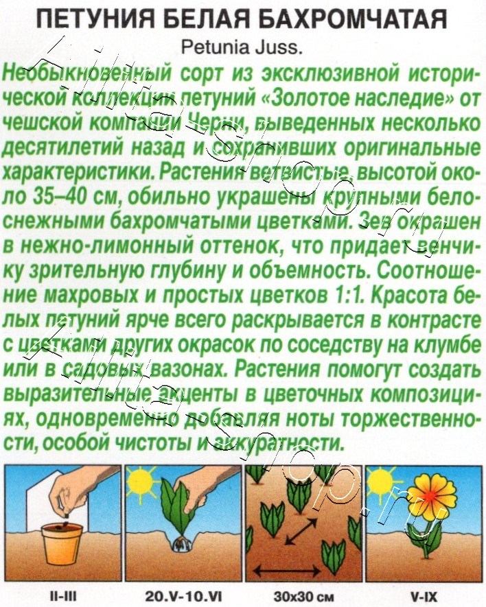 Петуния Белая бахромчатая полумахровая 7шт