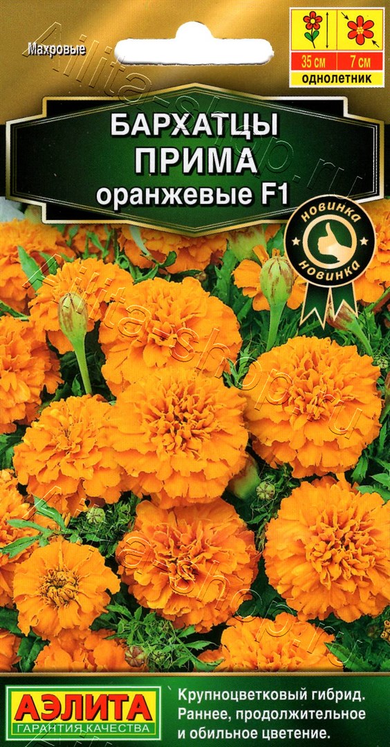 Бархатцы Прима оранжевые F1 отклоненные 10шт