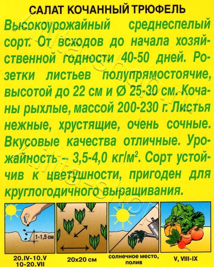 Салат Трюфель кочанный 0,5г