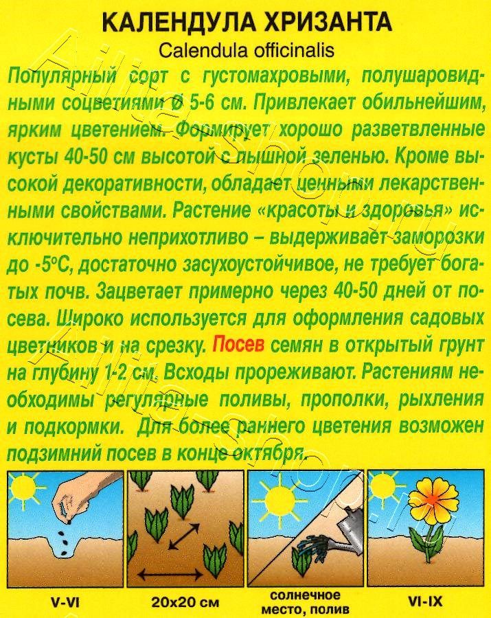 Календула Хризанта 0,5г