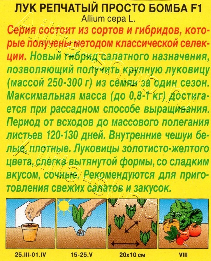 Лук репчатый Просто бомба F1 0,2г