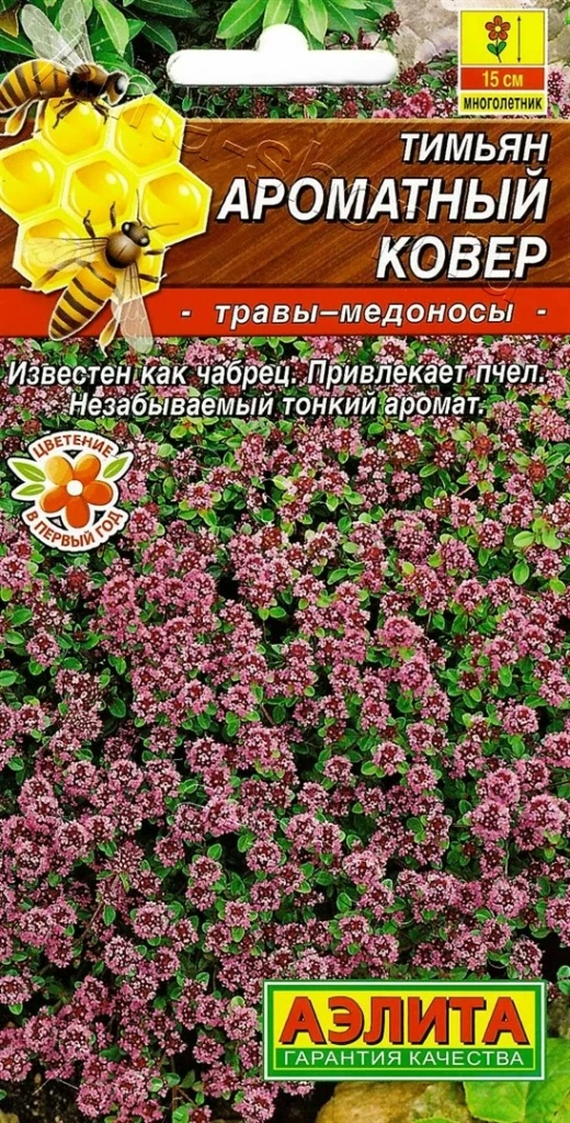 Устойчивые к засухе многолетники