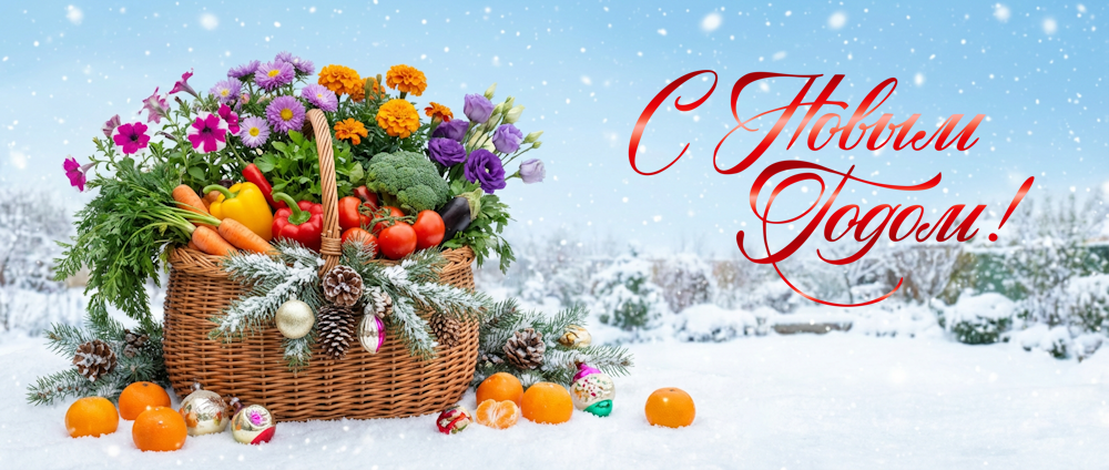 Новогодняя скидка на семена