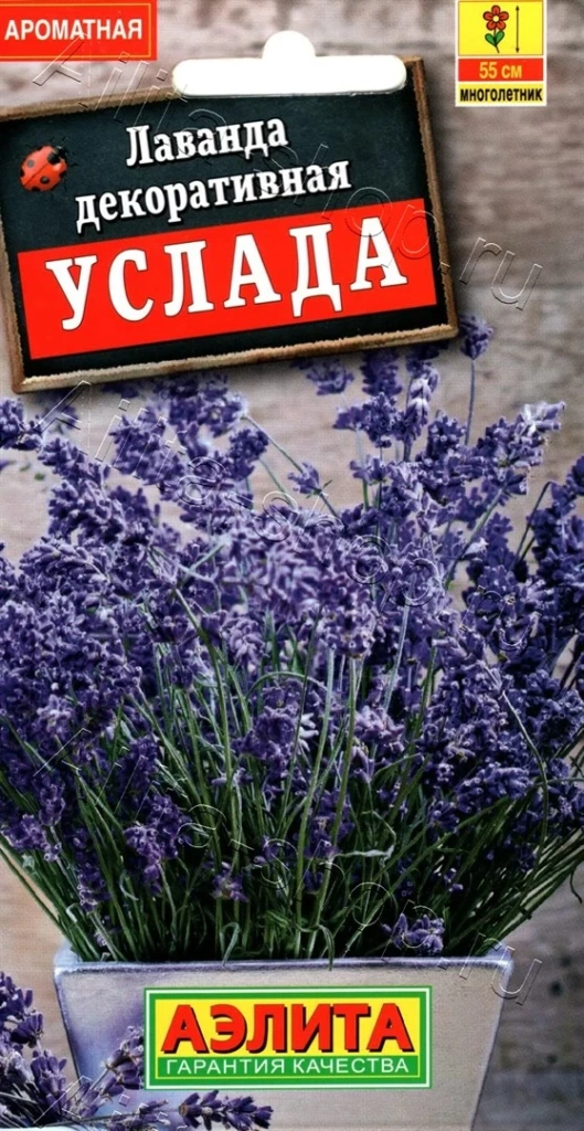Устойчивые к засухе многолетники
