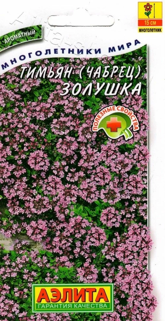 Устойчивые к засухе многолетники