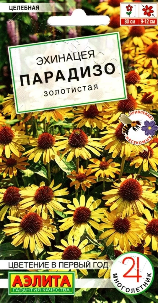 Устойчивые к засухе многолетники