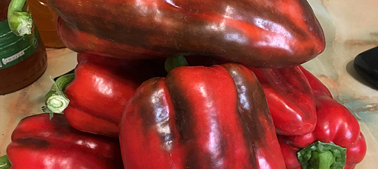 Перец Красный великан