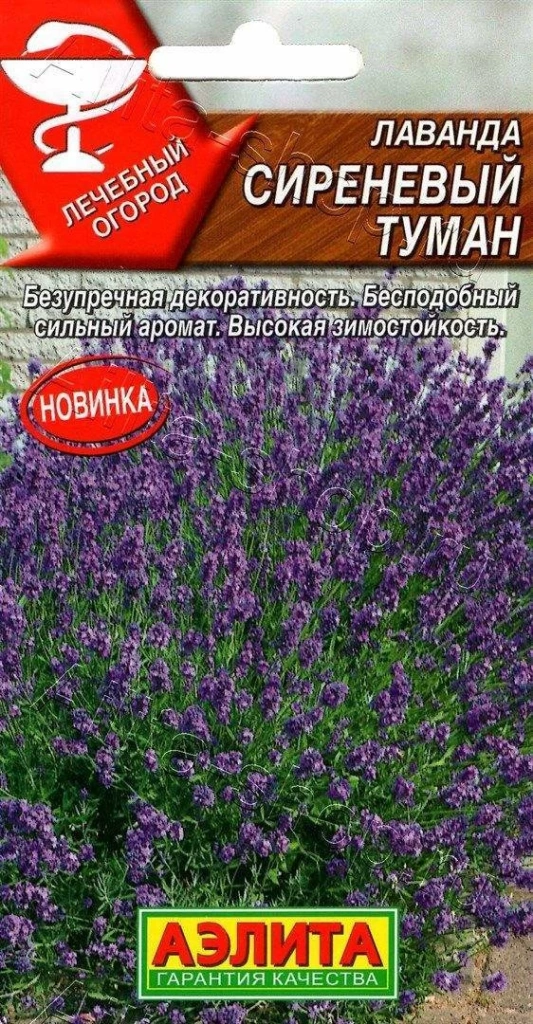 Устойчивые к засухе многолетники