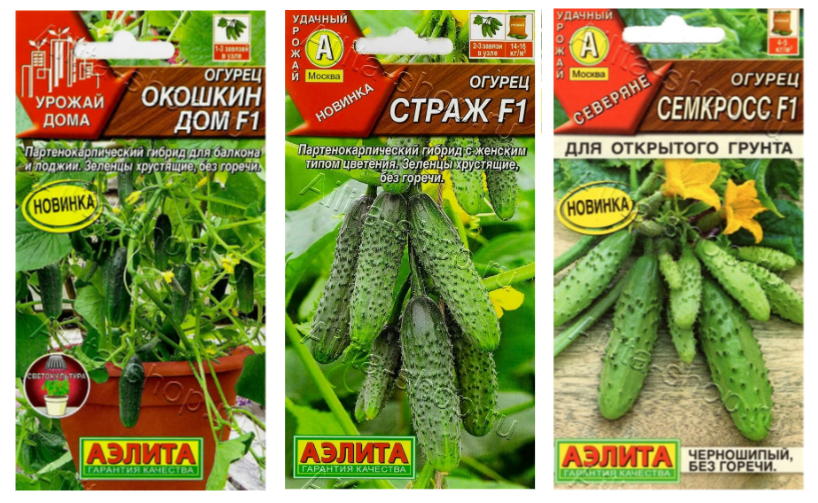 Новинки огурцов