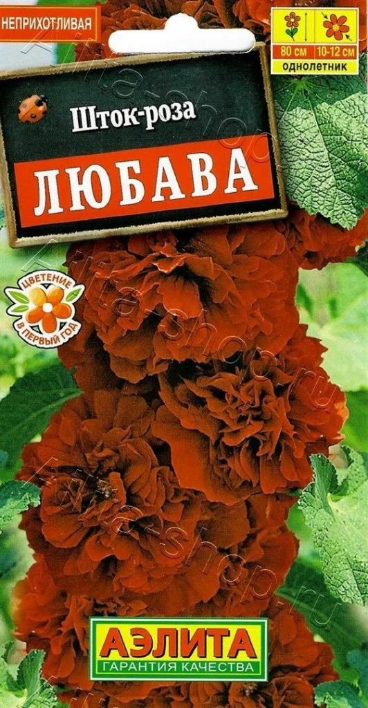 Устойчивые к засухе многолетники